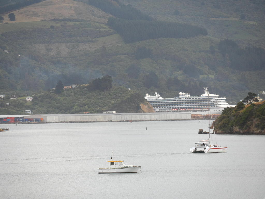 Otago Peninsula Motel Portobello 外观 照片